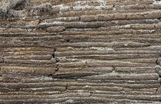 a close up of a rock formation with grass growing on top of it