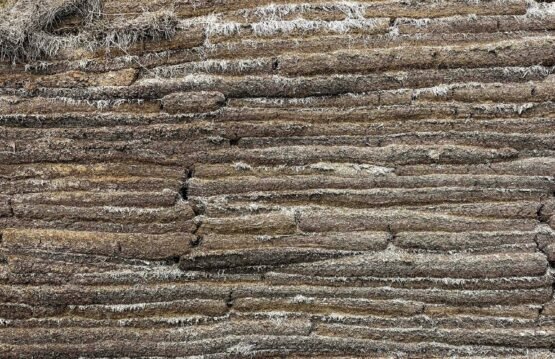 a close up of a rock formation with grass growing on top of it