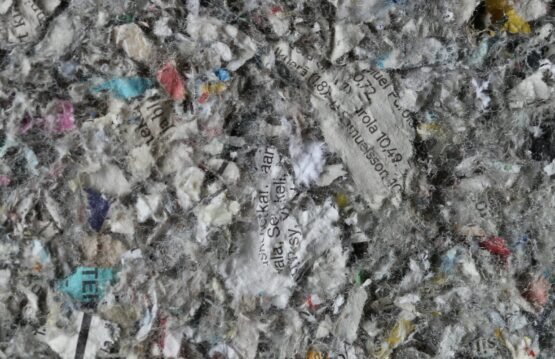 gray and black stone fragments