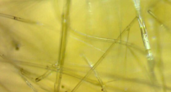 bông thuỷ tinh cách nhiệt