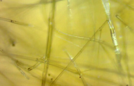 bông thuỷ tinh cách nhiệt